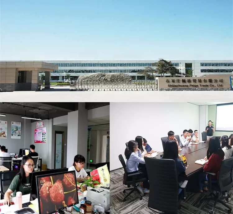 Women's Summer Fashion Casual One-Piece Beach Cover-Up New Arrival Sexy Breathable Beach Wear Dress with Skirt Bottom