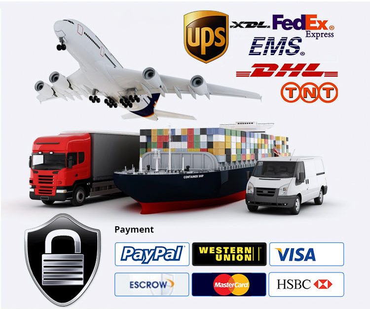 2026 Sexy High-end Women's Long Sleeve Lace Dress Female Black Skirt Elegant Women Dress with Lining