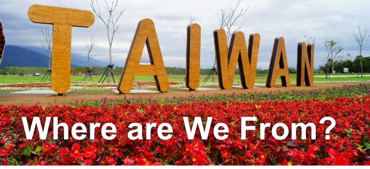 ODM Casual Trendy Breathable Fabric Eco-Friendly Anti-Wrinkle Women Mid Waist Office Trouser Elastic Closure Flat Front Summer