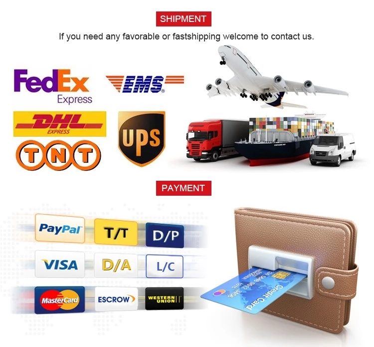 Slim Zipper Sports Thin Coat Summer Sun Protection Jacket Women Ice Silk Breathable Solid Sunscreen Clothing